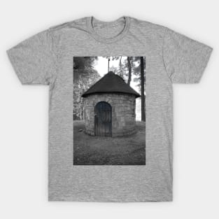 Blue Door T-Shirt